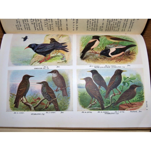 579 - A complete set of H F Witherby's The Handbook of British Birds (1943) (5 volumes) together with Geor... 