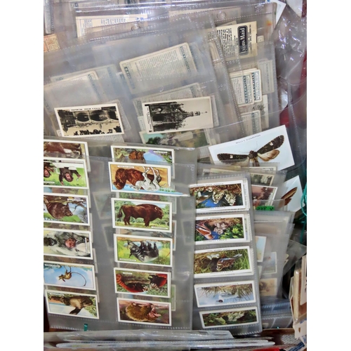 622 - An extensive collection of cigarette cards, in sleeves but not catalogued, from Cavanders, Wills, De... 