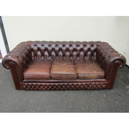 1489 - A brown leather chesterfield three seat sofa, with rolled and buttoned arms and back