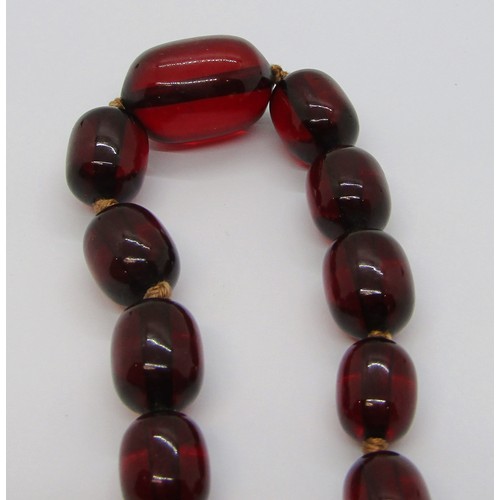 278 - Graduated cherry amber coloured bead necklace, 36.5g