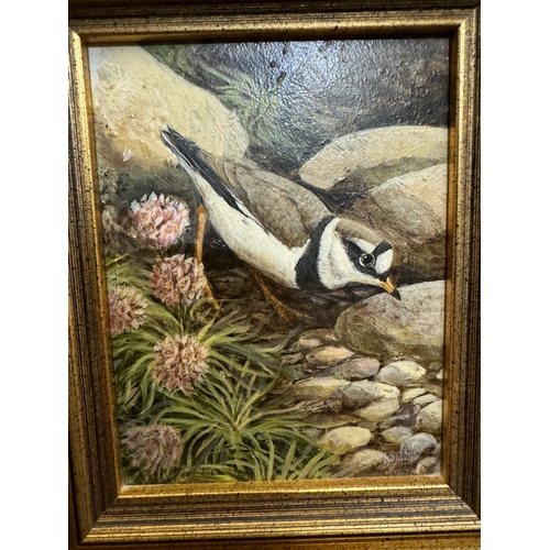 1826 - Ken Turner (b.1926) - Four small paintings of birds in rural scenes, all signed below, oil on board,... 