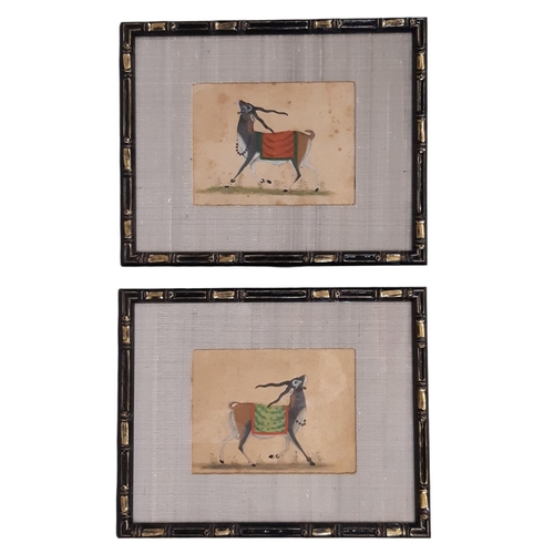 1865 - Two Indian Rajasthani paintings of prancing Blackbucks, watercolour on parchment paper, labelled ver... 