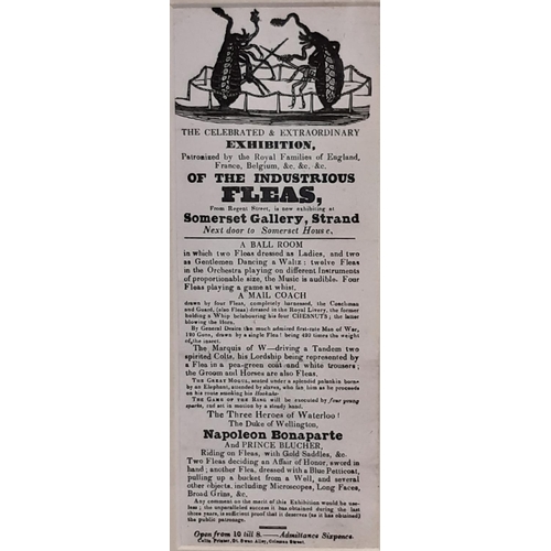 1866 - The Celebrated & Extraordinary Exhibition of the Industrious Fleas, Somerset Gallery, Strand, 19th c... 