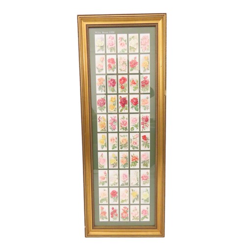 203 - A framed set of Will's Roses 1926 cigarette cards, frame dimensions: 86 x 33 cm