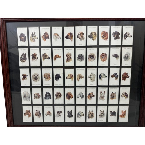 205 - Three framed sets of cigarette cards of dogs, 46 x 55 cm (3)