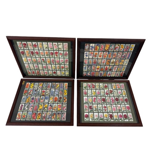 210 - Four framed sets of cigarette cards of flowers, 46 x 55 cm (4)