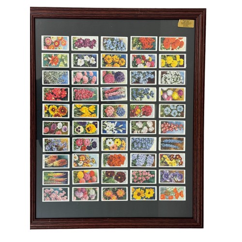 210 - Four framed sets of cigarette cards of flowers, 46 x 55 cm (4)