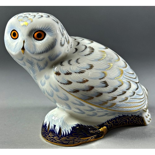 52 - Three Royal Crown Derby figures to include Platinum Penguin, Snowy Owl and Polar Bear Cub all with g... 