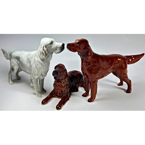 21 - A collection of six Beswick dogs in various poses to include an Afghan, Setter, Springer Spaniel, Po... 