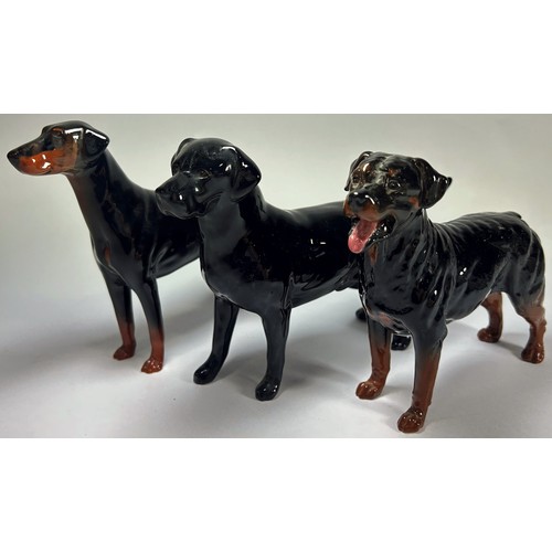 26 - Seven ceramic figures of Beswick and Royal Doulton dogs in various poses including a Black Labrador,... 