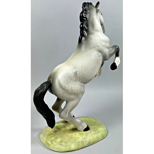 66 - A Beswick model of a matt glazed grey horse in rearing pose with impressed number to base 1014, 26cm... 