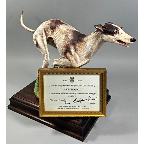 74 - A Hereford fine china large greyhound ltd edition 34/350, with framed certificate