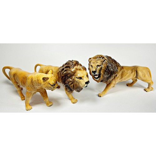 71 - Three Beswick figures - two lions and a lioness (3)