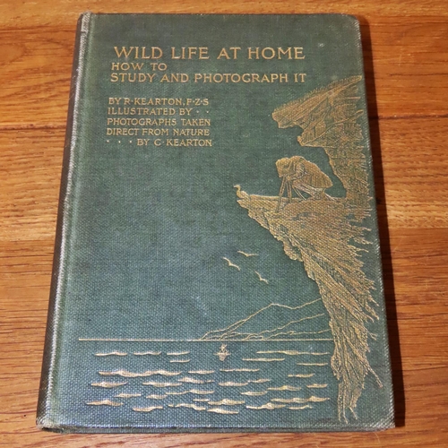 733 - Natural History interest to include Sisson's The Anatomy of Domestic Animals (1930), Step's Popular ... 