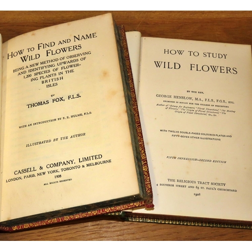 733 - Natural History interest to include Sisson's The Anatomy of Domestic Animals (1930), Step's Popular ... 