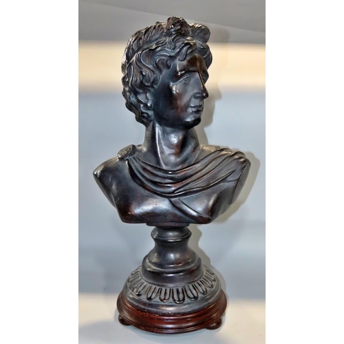 645 - A Bronzed terracotta bust of Apollo raised on a socle base and wood plinth 43cm.