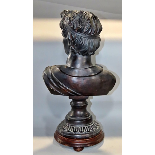 645 - A Bronzed terracotta bust of Apollo raised on a socle base and wood plinth 43cm.