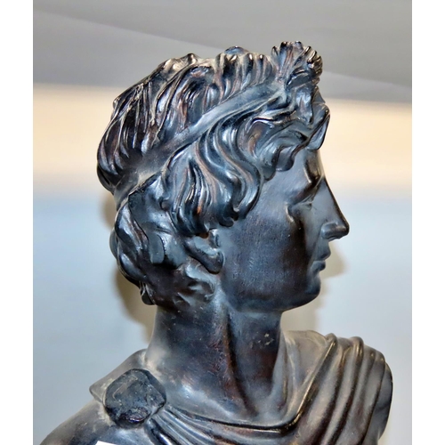 645 - A Bronzed terracotta bust of Apollo raised on a socle base and wood plinth 43cm.