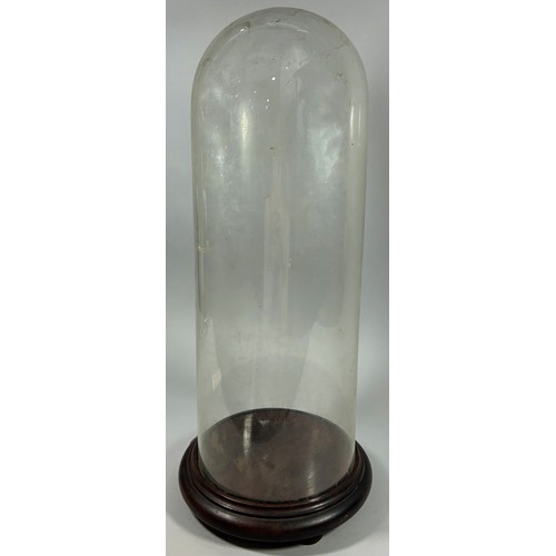 643A - A Victorian glass dome display case on a circular wooden plinth, 51cm high.