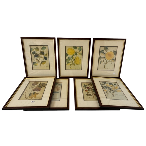 1976 - A set of seven colour reproduction botanical prints, 43 x 34 cm each (7)