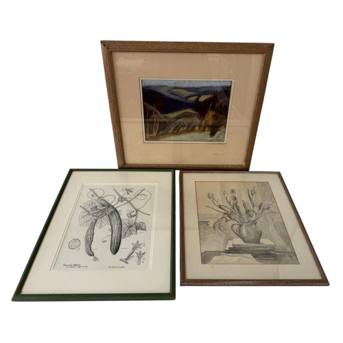 1991 - Three artworks by different artists, to include: Michael E. Castle - 'Ridge Cucumber', pen and ink, ... 