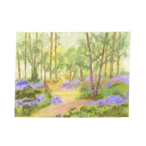 21 - Christine Manning: Bluebells in the woods, oil on canvas, signed and dated lower right, 40.5cm x 30.... 