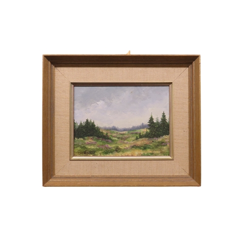 62 - Lul Branot (French, 20th century) Moorland alpine scene, oil on board, signed lower left, 22.5cm x 1... 