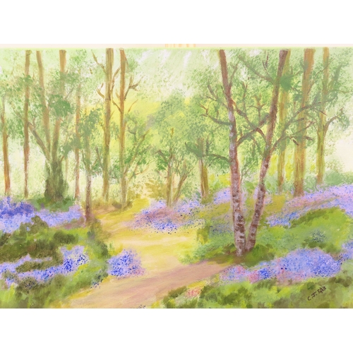 21 - Christine Manning: Bluebells in the woods, oil on canvas, signed and dated lower right, 40.5cm x 30.... 