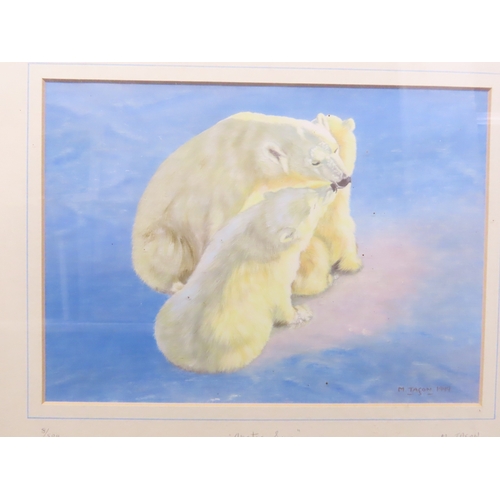 4 - Margaret Taçon: Artic Sun, off-set lithograph in colours, limited edition 8/500, signed and numbered... 