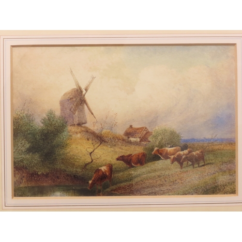 47 - George Shalders (1826-1873): Cattle in rural with windmill, watercolour, signed lower left, 33cm x 2... 