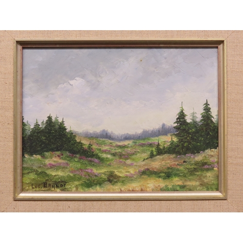 62 - Lul Branot (French, 20th century) Moorland alpine scene, oil on board, signed lower left, 22.5cm x 1... 