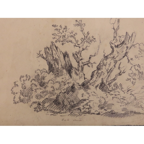 193 - JOHN JOSEPH BARKER OF BATH 1824-1904, GRAPHITE STUDY OF RUSTIC TREE STUMPS, graphite on wove paper, ... 