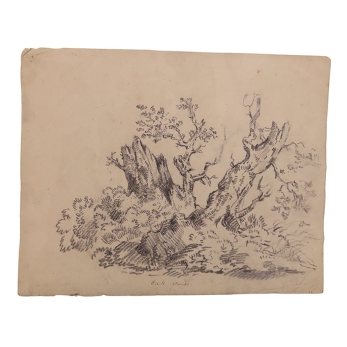 193 - JOHN JOSEPH BARKER OF BATH 1824-1904, GRAPHITE STUDY OF RUSTIC TREE STUMPS, graphite on wove paper, ... 