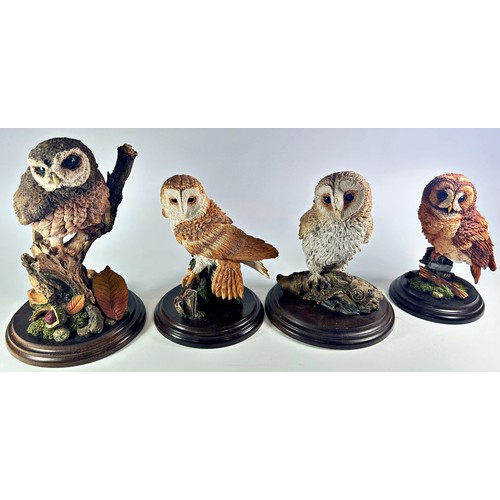 53 - A collection of 10 Country Artist birds, principally owls,