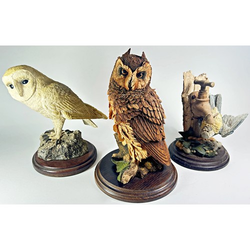 53 - A collection of 10 Country Artist birds, principally owls,