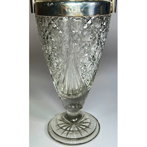 243 - A silver neck and cut glass urn shaped vase with twin handles, Birmingham 1902, makers mark Cohan an... 