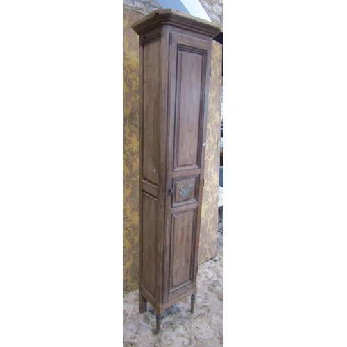 1130 - A tall narrow antique stained pine cupboard enclosed by a triple paneled door raised on turned suppo... 