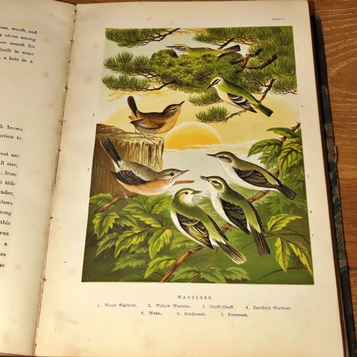 660 - An extensive library of books referencing ornithological interest and other natural history of the B... 