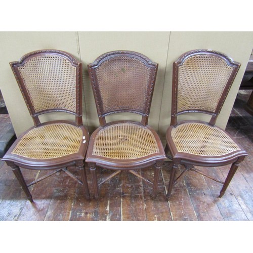 1474 - Five 19th century French dining chairs with carved frames and cane panelled seats and backs