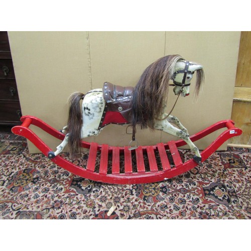 1435 - An Edwardian rocking horse, the dapple grey bodywork raised on an open boat shaped rocker, 160 cm lo... 