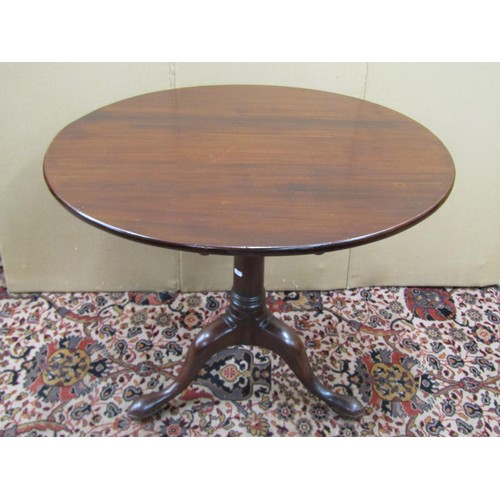 1486 - Georgian mahogany snap top table, the circular top raised on a gun barrel column with bird cage acti... 