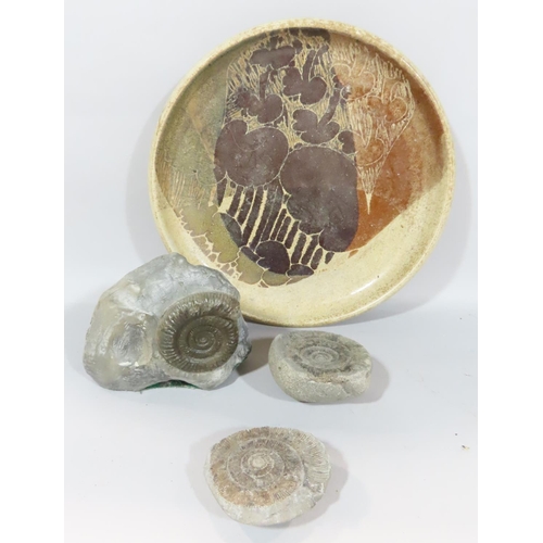 487 - A mixed selection of fossils including ammonites, belemnites, a cross section of rock crystal, and a... 