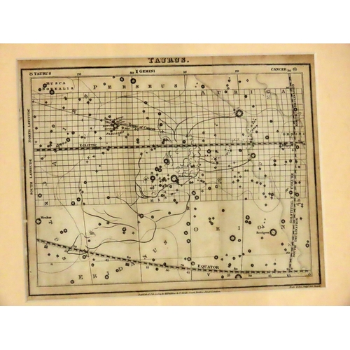 1804 - An 1821 engraved constellation of Taurus by Neele & Son of R. Philips & Co. 17 x 22 cm, framed