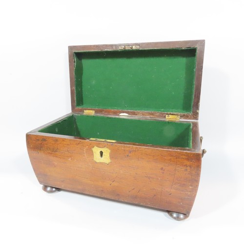 578 - A Regency rosewood sarcophagus shaped tea caddy with brass fittings (void)