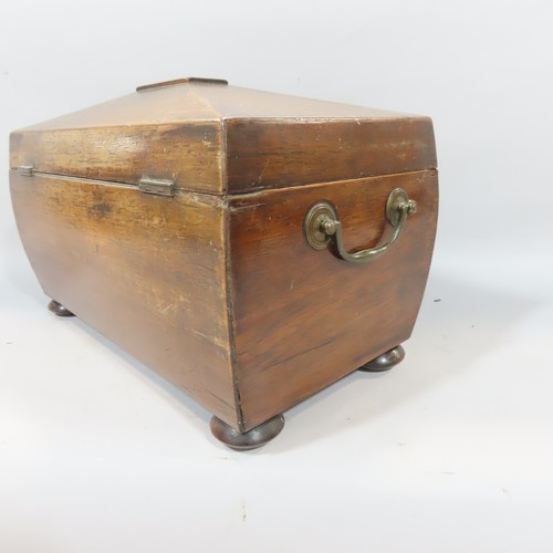 578 - A Regency rosewood sarcophagus shaped tea caddy with brass fittings (void)