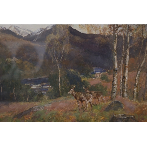 1841 - 20th Century School - Mountainous landscape with two deer, unsigned, oil on canvas board, 38 x 45 cm... 