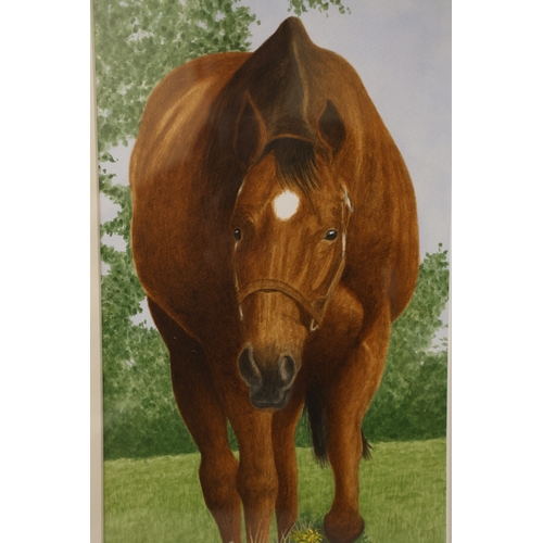 1858 - C. Peeters (Contemporary) - Three watercolour portraits of horses, all signed and dated 2023 below, ... 