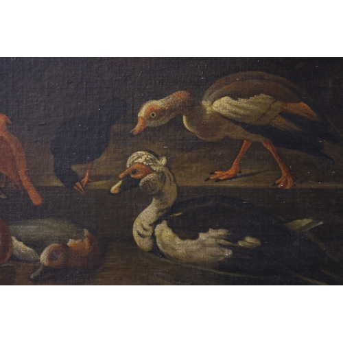 1863 - 19th Century School - A naturalistic study of a group of birds by the water, unsigned, oil on canvas... 