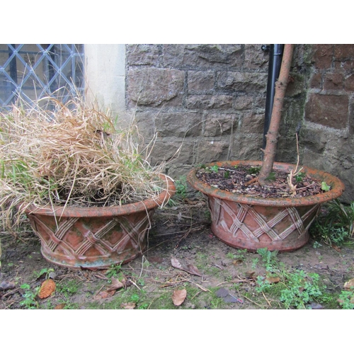 1026 - A pair of weathered squat terracotta planters in the form of lattice baskets (planted), 23 cm high x... 