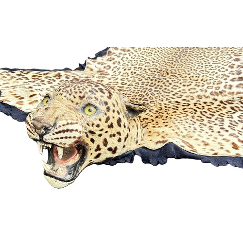 1620 - Taxidermy interest: An antique leopard skin rug, with mounted and worked head with inset glass eyes,... 